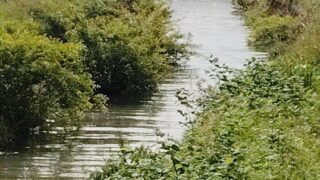 流れを読む前に