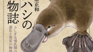 個と集団