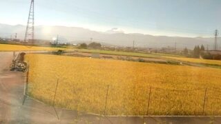 四里四方