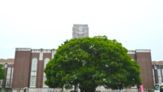 理解の三段階