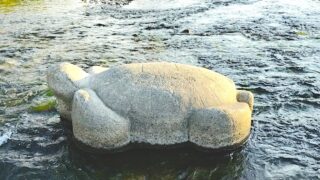 ブログ開始から1年