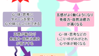 こころの体表現語（ボディートークのこと）