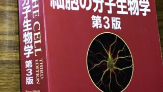 身体のなりたち