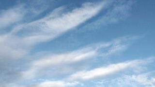 わすれることのよしあし