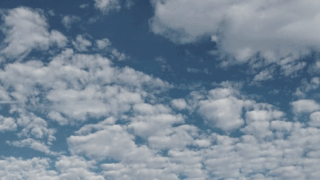 産婦人科医のしごと