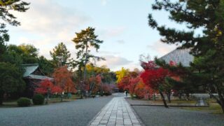 うらみごとを手放す