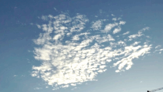 自分のことは自分がいちばん…