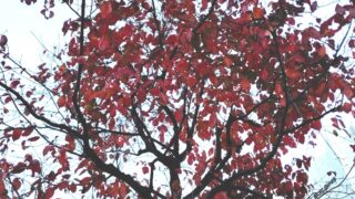 どこに相談したら良いのかわからない…という方に