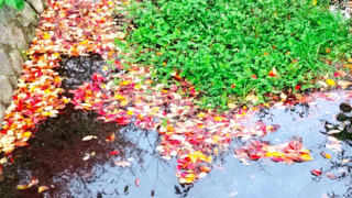 触診でわかること