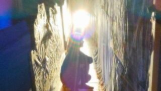 あたまの使い方