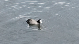 よくなっていくプロセスの中で