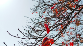 いつだって「もう遅い」けれどいつだって「まだ間に合う」