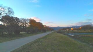 選んだ道を後悔しないために