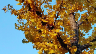 ひとさまの人生に触れる