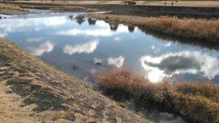 余人を以て代えがたし