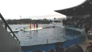 なに型ですか？