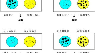 さわらないでください