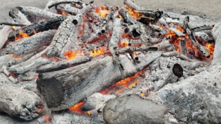 コロナウイルス感染後の不調と「熱」