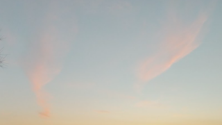 うらないのはなし