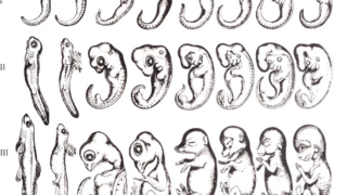 変わり続けるものだけが