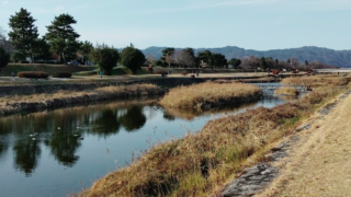 いのちの流れを信じる
