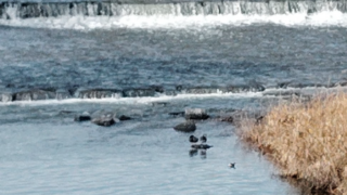 自分の考えの枠から出る