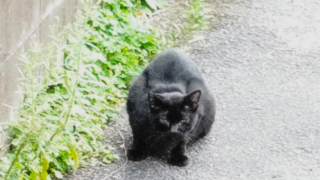 お手柄はどこに行く？