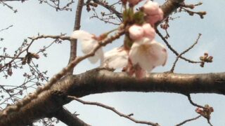 卒業式の思い出